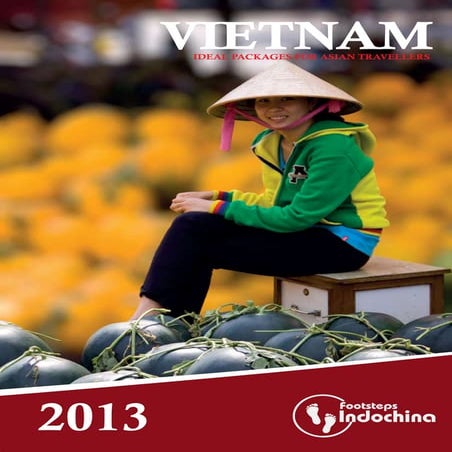 Vietnam packages - asian market | PDF