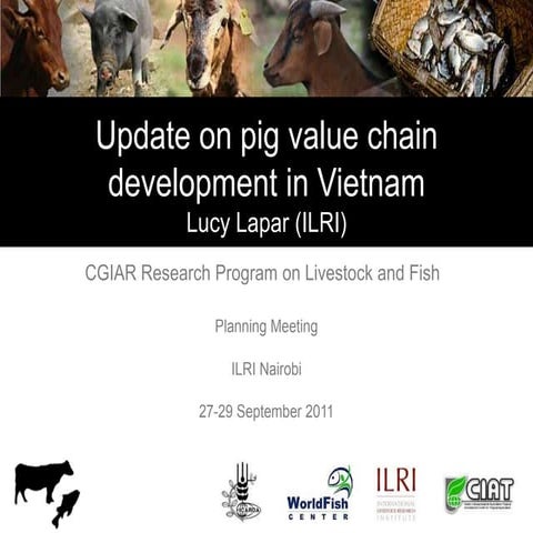 Update on pig value chain development in Vietnam