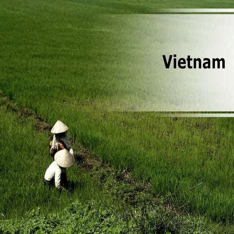 Vietnam PowerPoint Content 