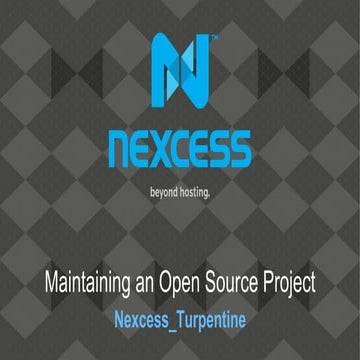 Maintaining an Open Source Project
