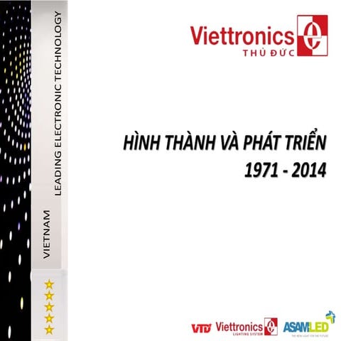 Viettronics profile viet