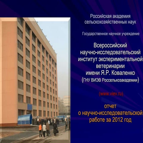Viev Presentation 2012 | PPT