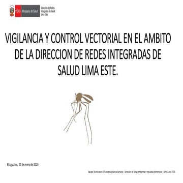 VIGILANCIA Y CONTROL VECTORIAL EN EL AMBITO DE LIMA ESTE EN EL AMBITO DE LA D...
