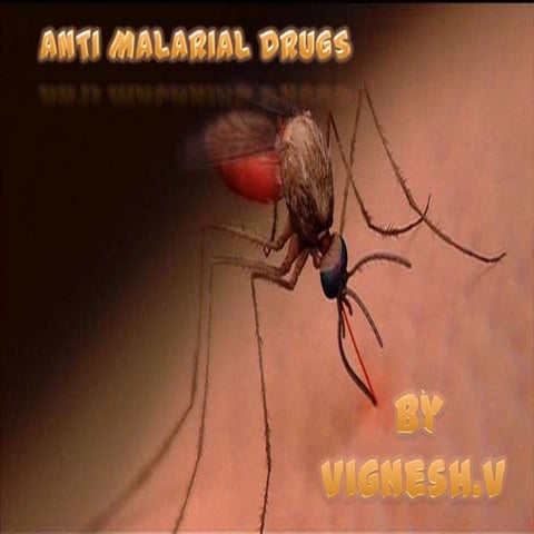 ANTI-MALARIAL DRUGS