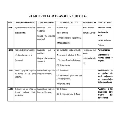 Vii  e la programacion curricular
