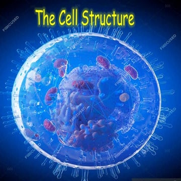 VIII_SCI_L08_M02_CELL_STRUCTURE_AND_FUNCTIONS_PPT.pdf