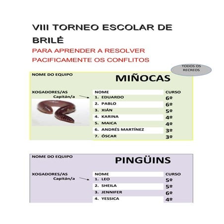 Viii torneo escolar de brilé