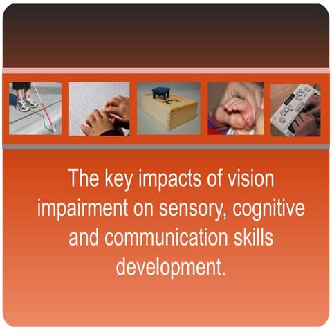 The Impact of a Vision Impairment on sensory, motor, communication and congit...