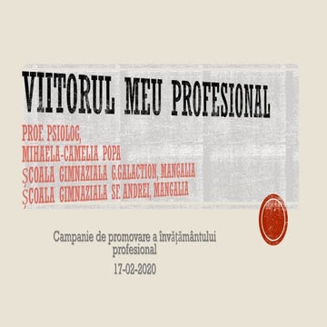 Viitorul meu profesional_camp_anie17.02.2020