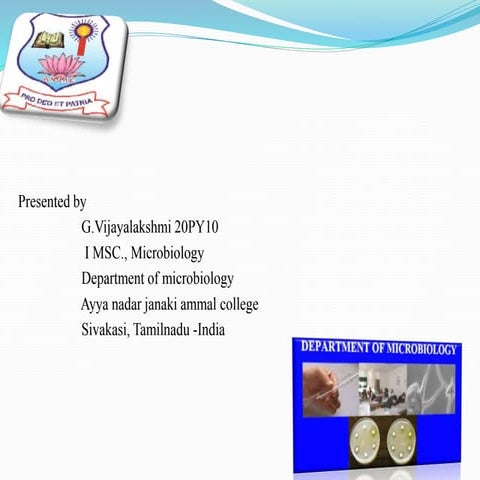 structure of  t4 bacteriophage