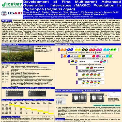 Development of First Multiparent Advanced Generation Inter-cross (MAGIC) Popu...