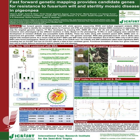 Fast forward genetic mapping provides candidate genes for resistance to fusar...