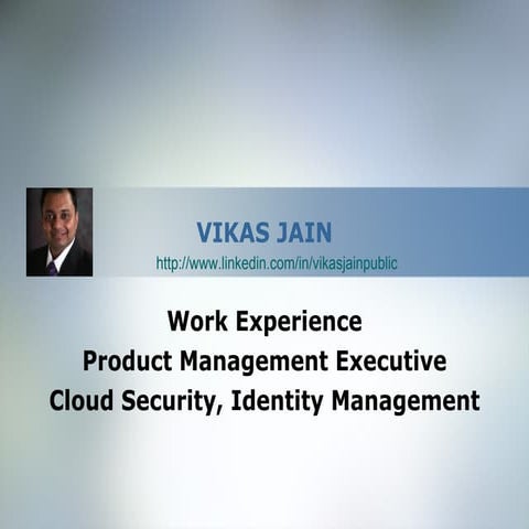 Vikas Jain Past Work