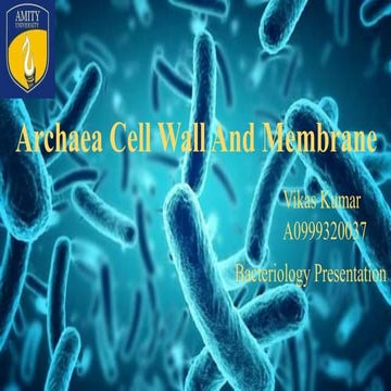 Archea cell wall and membrane