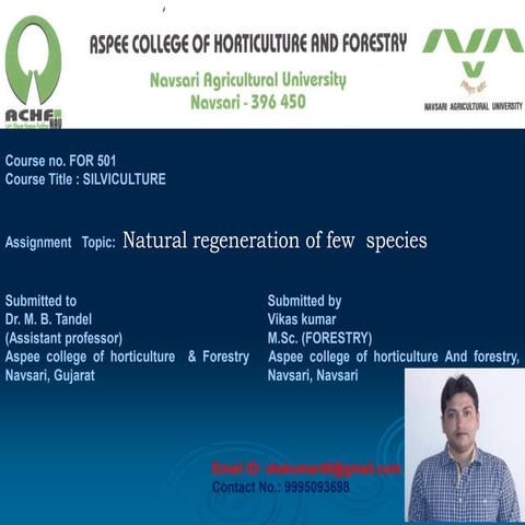 Natural Regeneration of few tree species