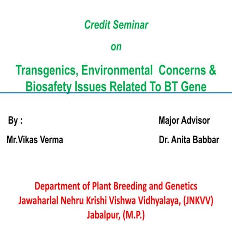 Transgenics, Environmental  Concerns & Biosafety Issues Related To BT Gene