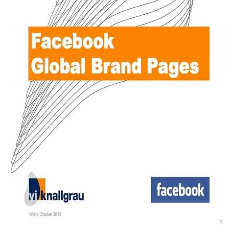 vi knallgrau Facebook Global Brand Pages