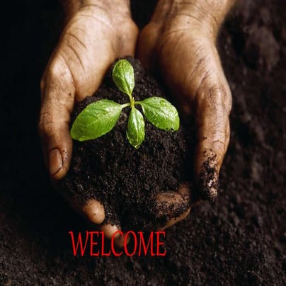 ADVANCED TECHNIQUES TO INCREASE NUTRIENT USE EFFICIENCY