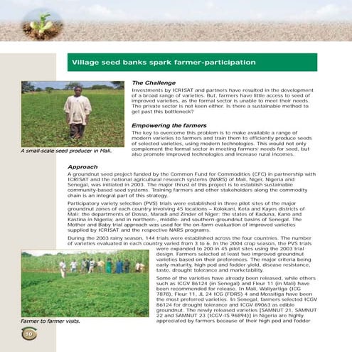 Village seed banks spark farmer participation