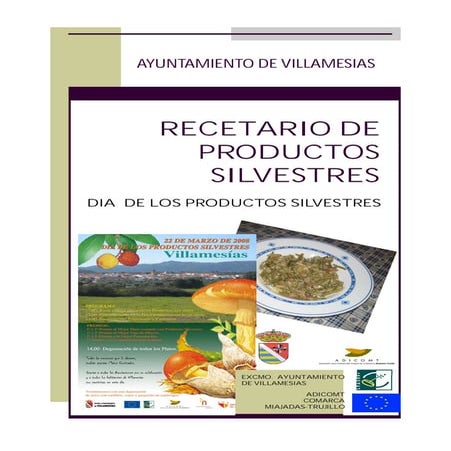recetario-de-productos-silvestres-de-villames-as-pdf