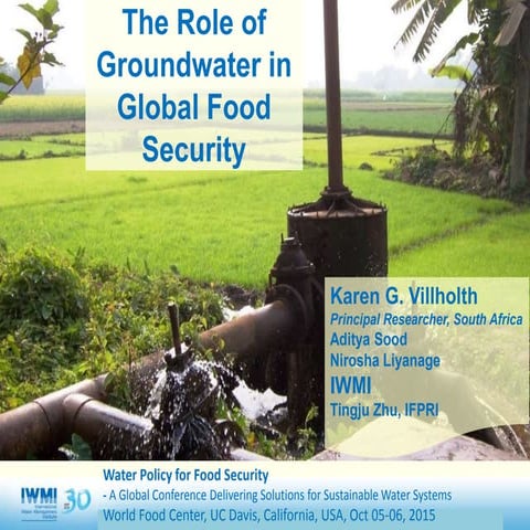 Karen Villholth, International Water Management Institute