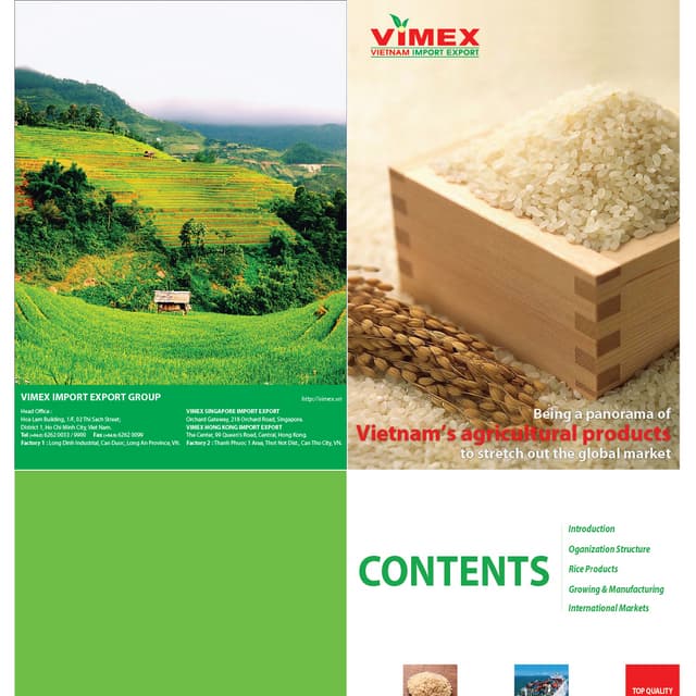 VIMEX IMPORT EXPORT - Profile | PDF