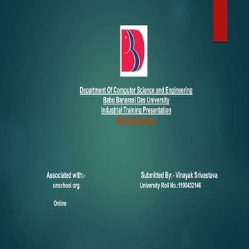 Vinayak Srivastava.pptx