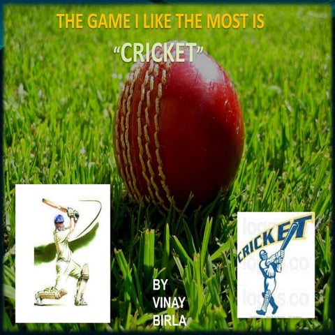 Vinay Birla PPT .pptx ggggggggfffffgfccçh