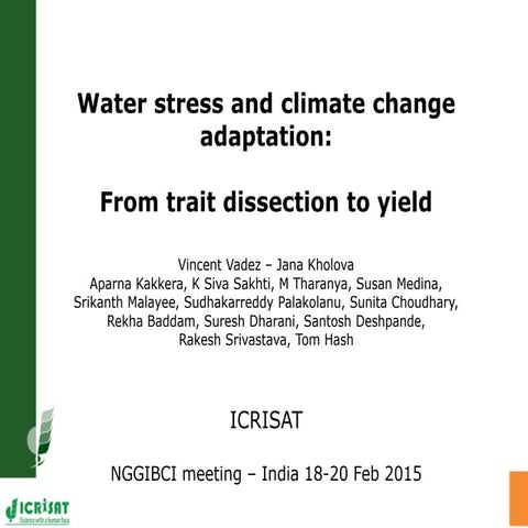 Water stress and climate change adaptation: From trait dissection to yield