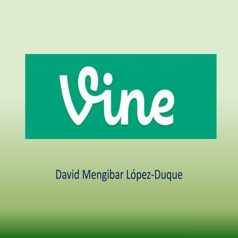 Vine