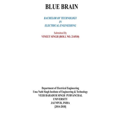 blue brain ppt