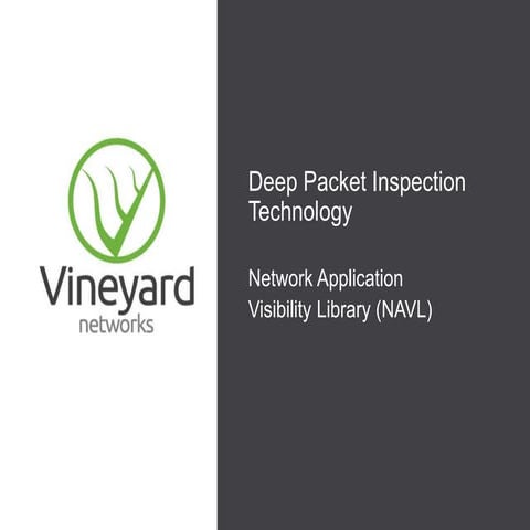 Vineyard Networks Product Overview