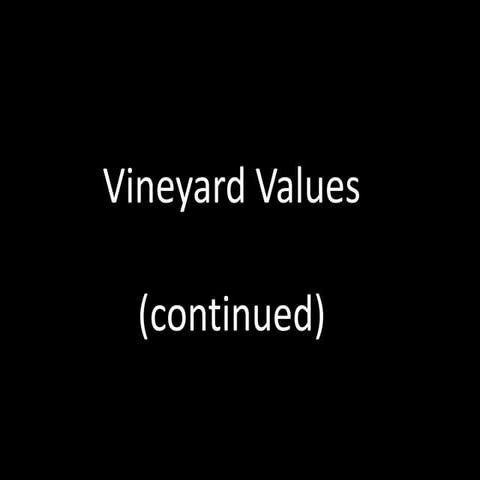 Vineyard Values - Character, not Gifting | PPTX