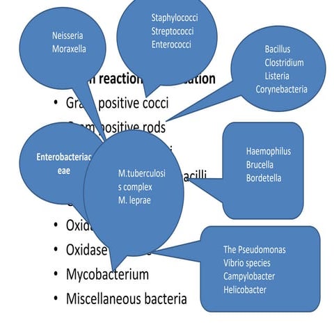 Chapter_4_Pathogenic_Gram_positive_cocci.pptx