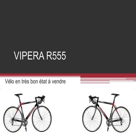 Vipera R555 | PPSX