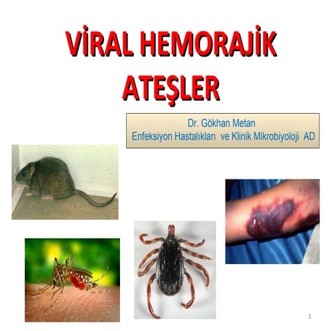 Viral hemorajik ateşler (fazlası için www.tipfakultesi.org )