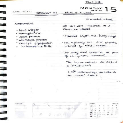 Virology Notes 2020 #26: Therapeutic viruses | PDF