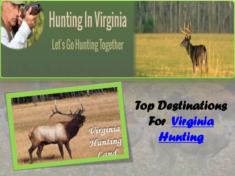 Virginia hunting