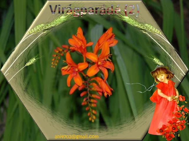 Virágparádé(2)+ani (nx power lite)