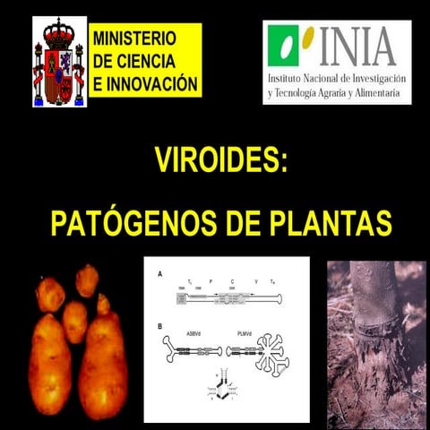 Viroides .pptxxxxxxxxxxxxxxxxxxxxxxxxxxxxxxxx | PPT