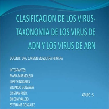 Clasificación de los virus (virología)