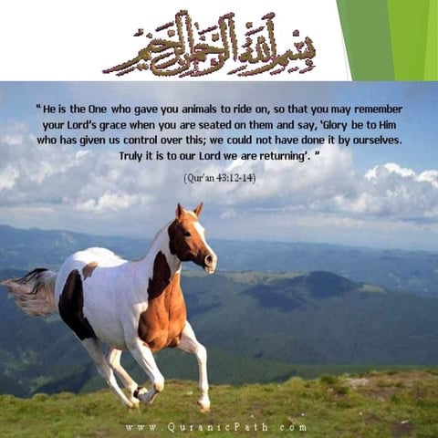 classification of virus and basic terms 