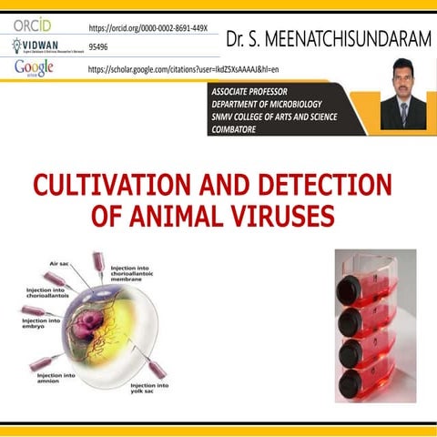 VIROLOGY - CULTIVATION AND DETECTION OF VIRUS