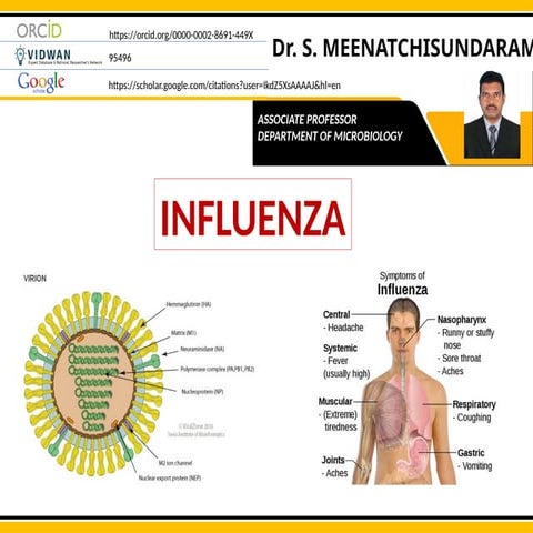 Comprehensive Overview of the Human Influenza Virus | PPTX