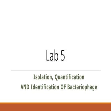 Isolation of Bacteriophage 
