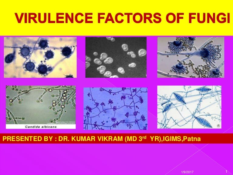 Virulence factors of fungi