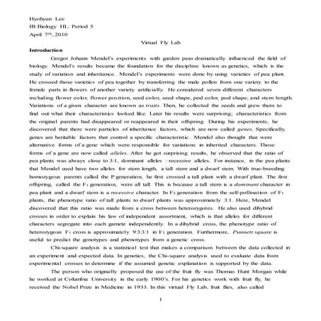 BIO Virtual fly lab (final draft)