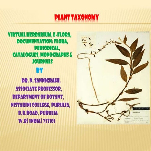 Virtual Herbarium, e-Floras, Monographs, revisions, Periodcals in Plant taxonomy