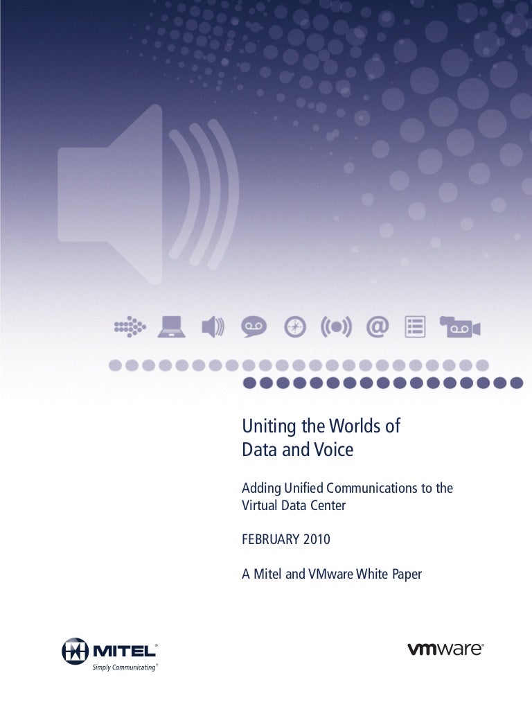 Virtualization essay 04 picture