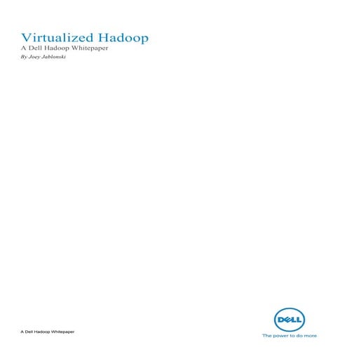 Virtualized Hadoop
